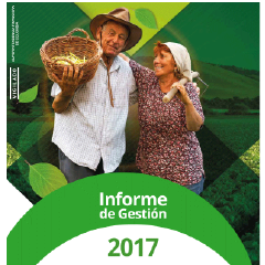 informe-de-gestion-2017