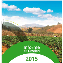 informe-de-gestion-2015