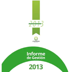 informe-de-gestion-2013