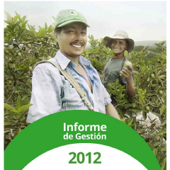 informe-de-gestion-de-2012