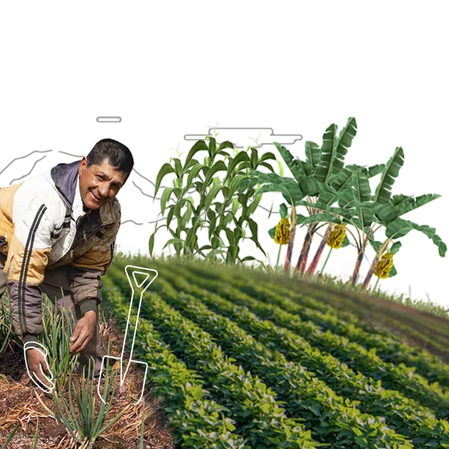 cliente-agricultor-con-sus-cultivos