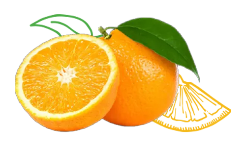 imagen-de-naranja