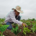 El agro: la joya de Colombia